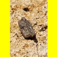 thumbnail Cap Creus, Catalogne