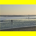 thumbnail Sur la plage du Crotoy