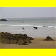 thumbnail La plage du Pouldu